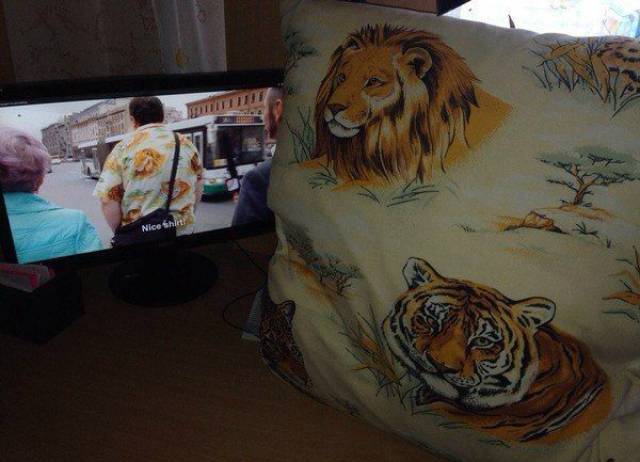 daily picdump 91 pics 19.html - 91 HD Photos | Premium Gallery 2017