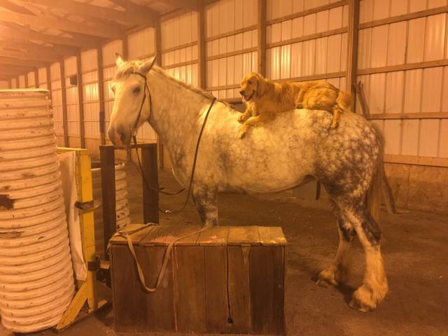 daily picdump 91 pics 19.html - 91 HD Photos | Premium Gallery 2017