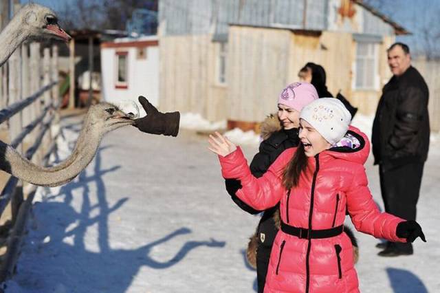 daily picdump 91 pics 19.html - 91 HD Photos | Premium Gallery 2017