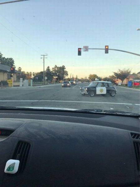 daily picdump 91 pics 19.html - 91 HD Photos | Premium Gallery 2017