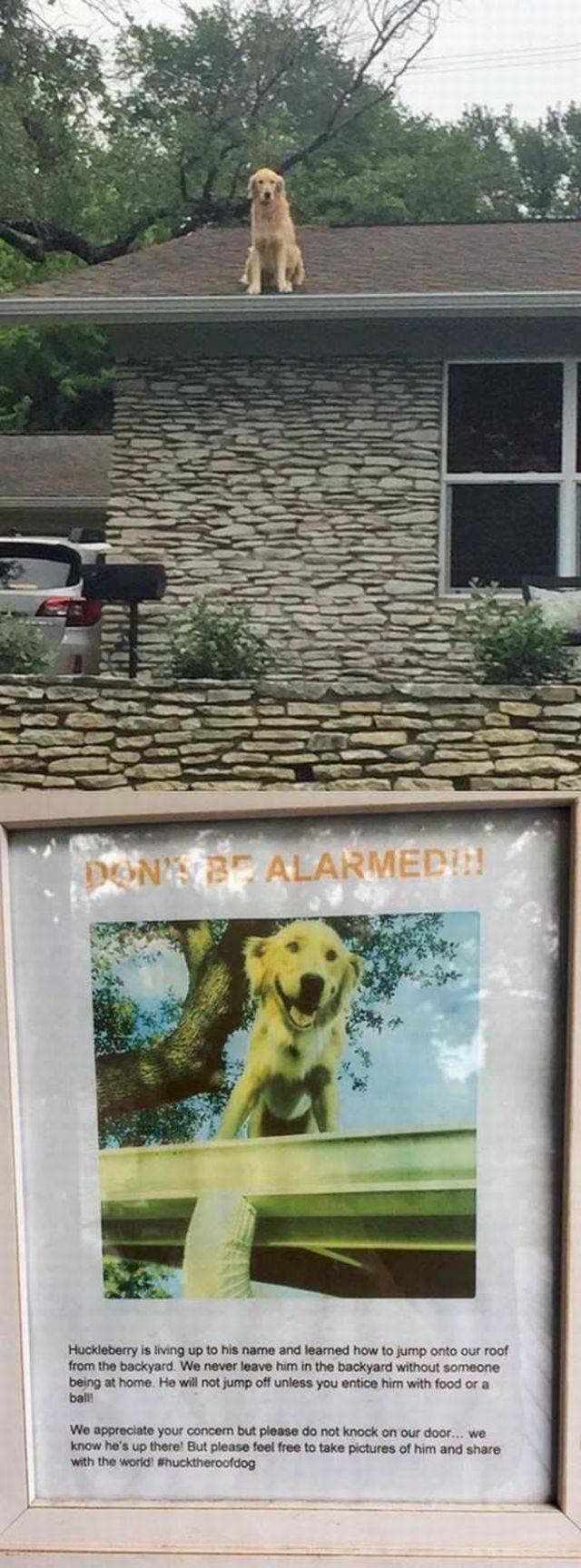 daily picdump 91 pics 19.html - 91 HD Photos | Premium Gallery 2017