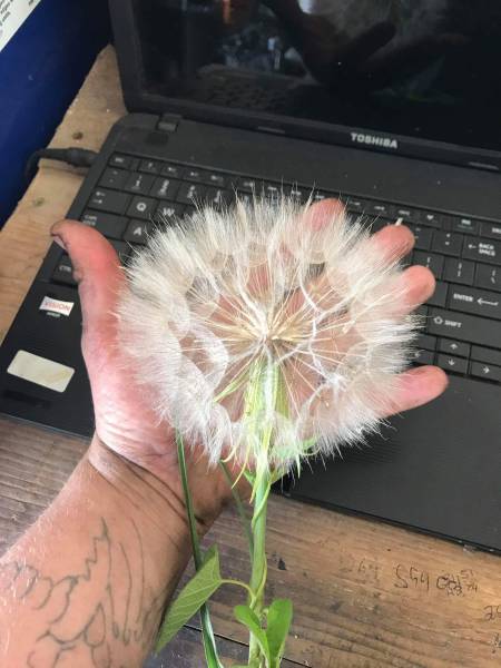 morning picdump 51 pics 2.html - 51 HD Photos | Premium Gallery 2017