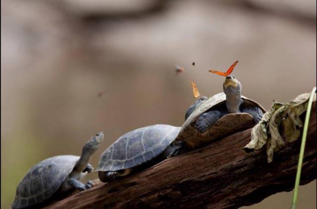 morning picdump 51 pics 2.html - 51 HD Photos | Premium Gallery 2017