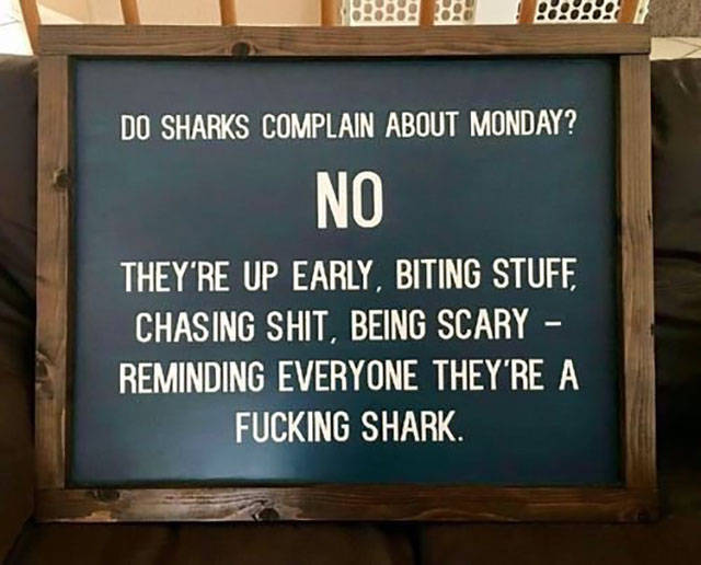 morning picdump 51 pics 2.html - 51 HD Photos | Premium Gallery 2017