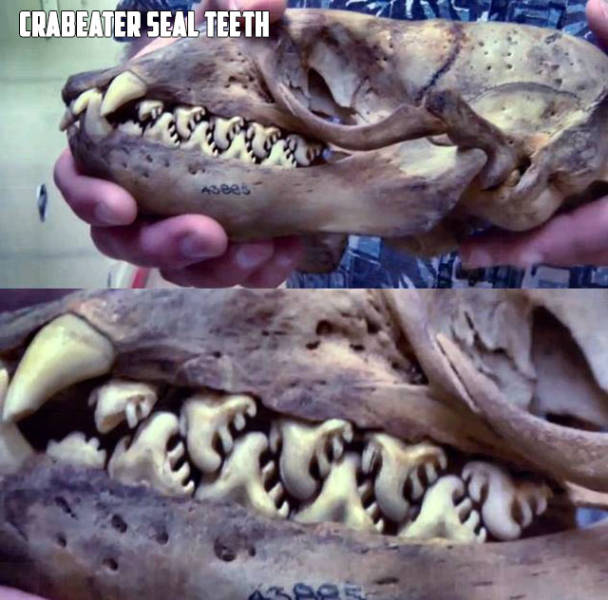 morning picdump 51 pics 2.html - 51 HD Photos | Premium Gallery 2017