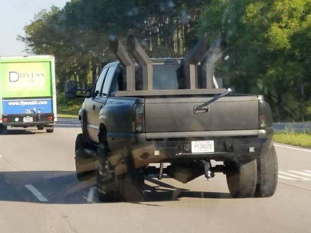 morning picdump 51 pics 2.html - 51 HD Photos | Premium Gallery 2017