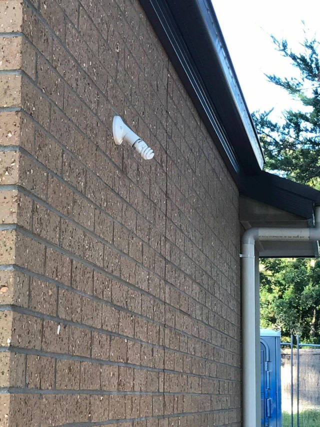 morning picdump 51 pics 2.html - 51 HD Photos | Premium Gallery 2017