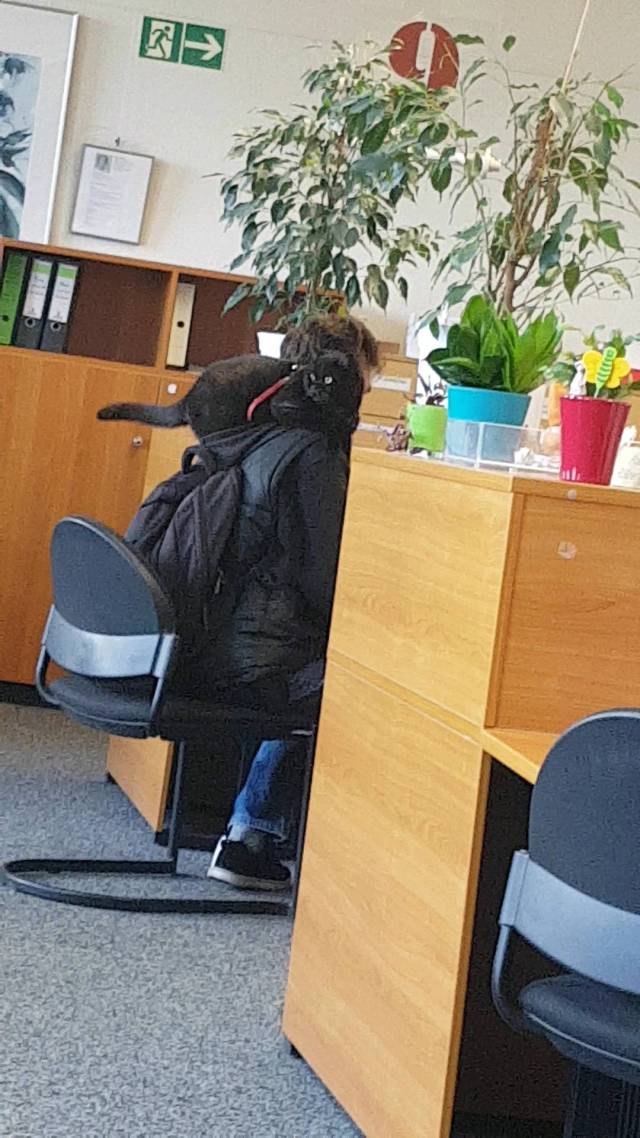 morning picdump 51 pics 2.html - 51 HD Photos | Premium Gallery 2017