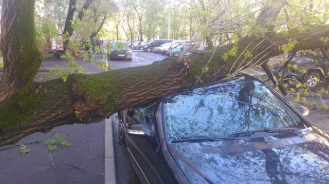 daily picdump 95 pics 47.html - 95 HD Photos | Premium Gallery 2017