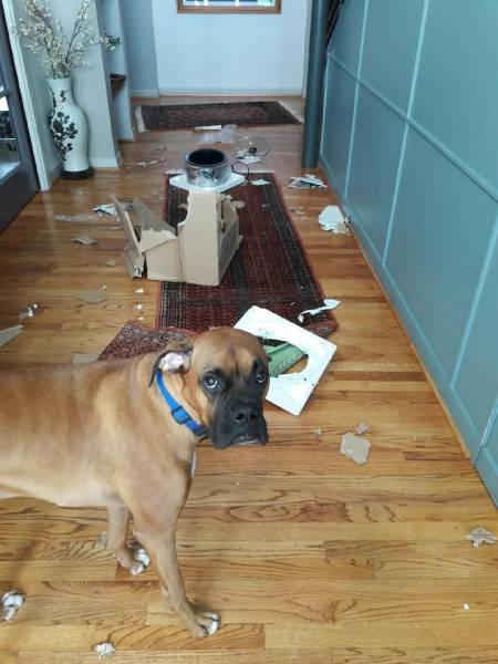 daily picdump 95 pics 47.html - 95 HD Photos | Premium Gallery 2017