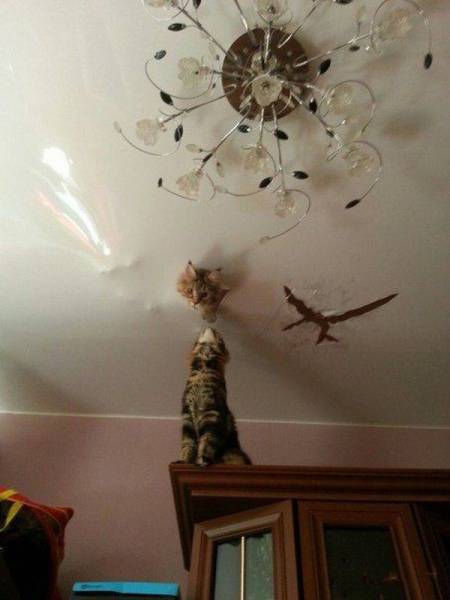 daily picdump 95 pics 47.html - 95 HD Photos | Premium Gallery 2017