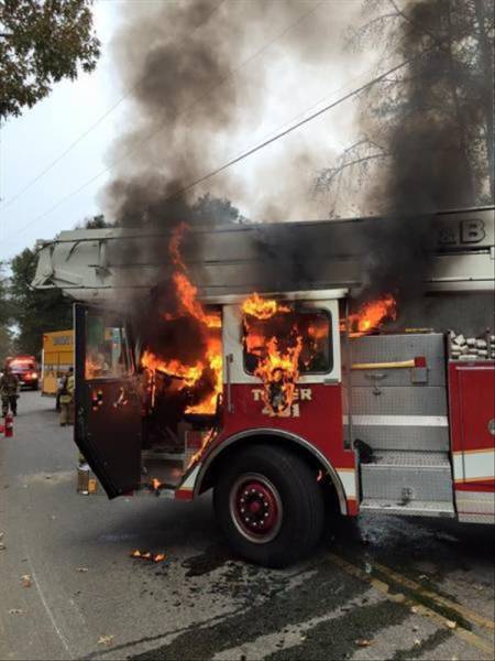 daily picdump 95 pics 47.html - 95 HD Photos | Premium Gallery 2017