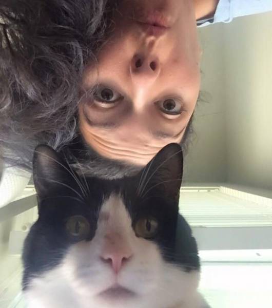 daily picdump 95 pics 47.html - 95 HD Photos | Premium Gallery 2017