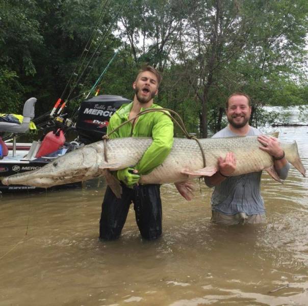 morning picdump 51 pics 2.html - 51 HD Photos | Premium Gallery 2017