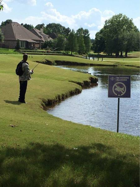 morning picdump 51 pics 2.html - 51 HD Photos | Premium Gallery 2017