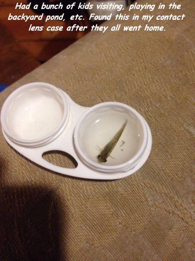 morning picdump 51 pics 2.html - 51 HD Photos | Premium Gallery 2017