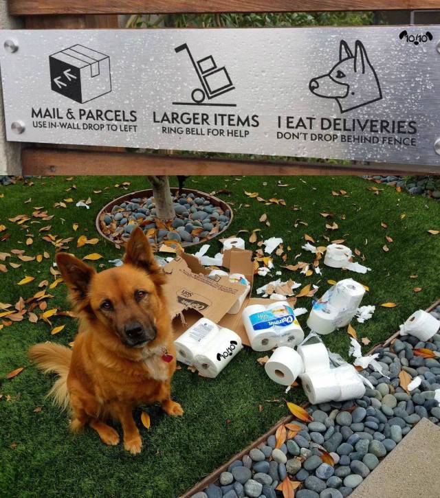 morning picdump 51 pics 2.html - 51 HD Photos | Premium Gallery 2017