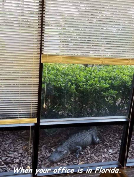 Daily Picdump [WEEKEND EDITION]