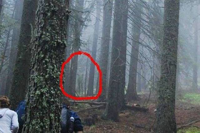 Daily Picdump [WEEKEND EDITION]