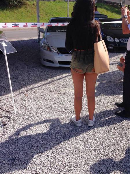 daily picdump weekend edition 65 pics 32.html - 65 HD Photos | Premium Gallery 2017