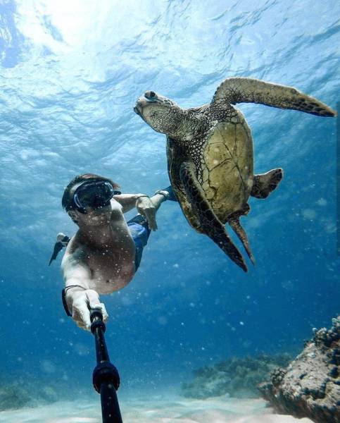 daily picdump weekend edition 65 pics 32.html - 65 HD Photos | Premium Gallery 2017