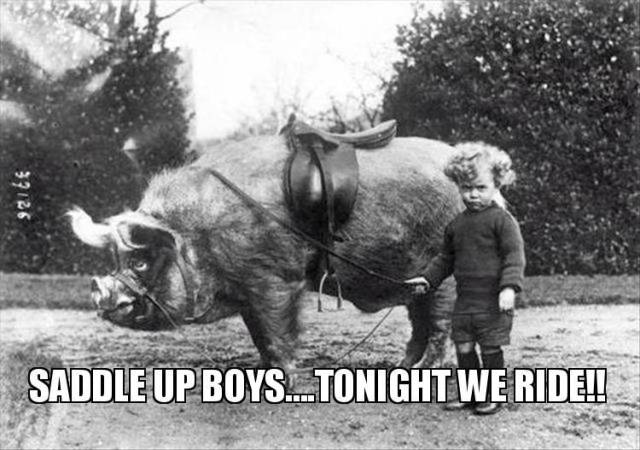 daily picdump weekend edition 65 pics 32.html - 65 HD Photos | Premium Gallery 2017