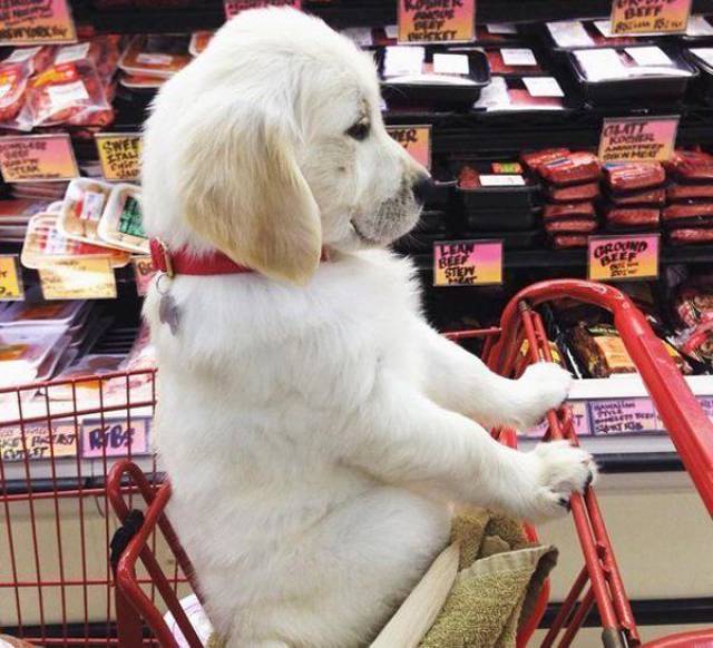 daily picdump 102 pics 11.html - 102 HD Photos | Premium Gallery 2017