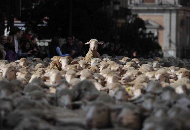 daily picdump 102 pics 11.html - 102 HD Photos | Premium Gallery 2017