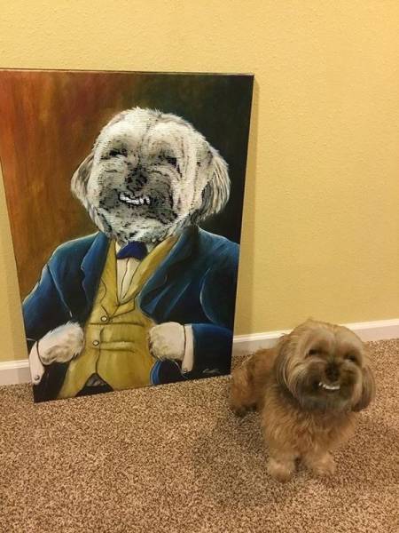 daily picdump 102 pics 11.html - 102 HD Photos | Premium Gallery 2017