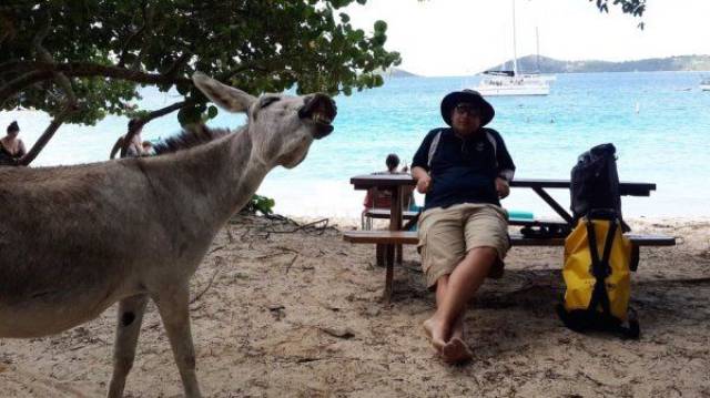 daily picdump 102 pics 11.html - 102 HD Photos | Premium Gallery 2017