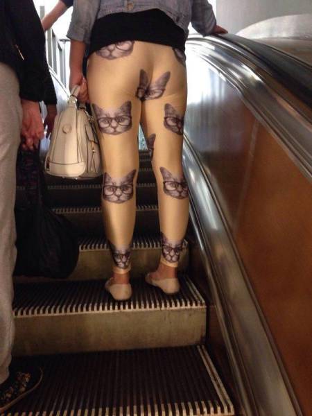 daily picdump 102 pics 11.html - 102 HD Photos | Premium Gallery 2017