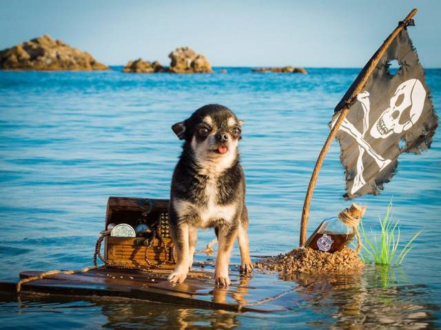 daily picdump 102 pics 11.html - 102 HD Photos | Premium Gallery 2017