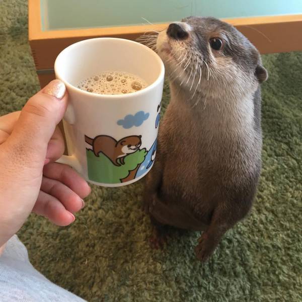 daily picdump 102 pics 11.html - 102 HD Photos | Premium Gallery 2017