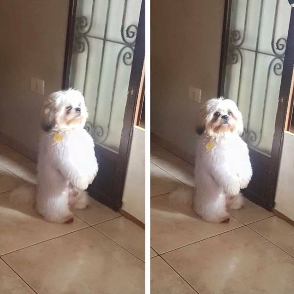 daily picdump 98 pics 4.html - 98 HD Photos | Premium Gallery 2017