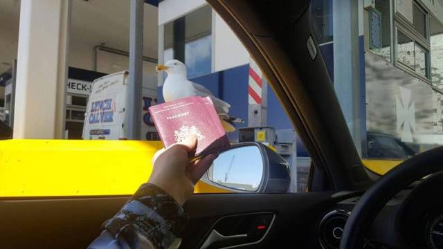 daily picdump 98 pics 4.html - 98 HD Photos | Premium Gallery 2017