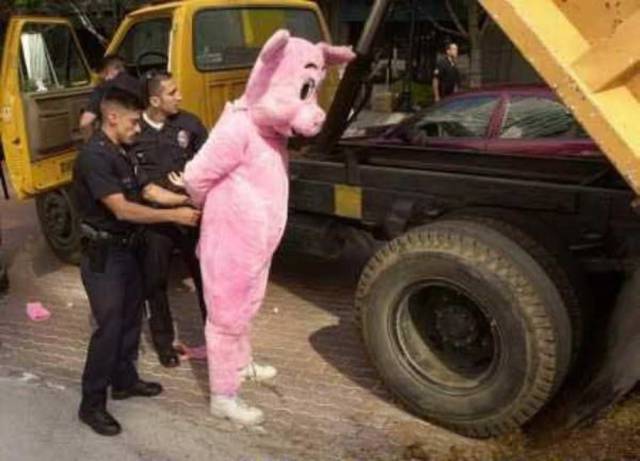 daily picdump 98 pics 4.html - 98 HD Photos | Premium Gallery 2017