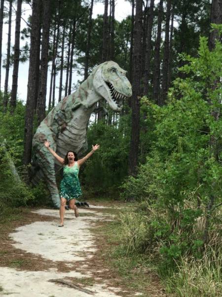 daily picdump 98 pics 4.html - 98 HD Photos | Premium Gallery 2017