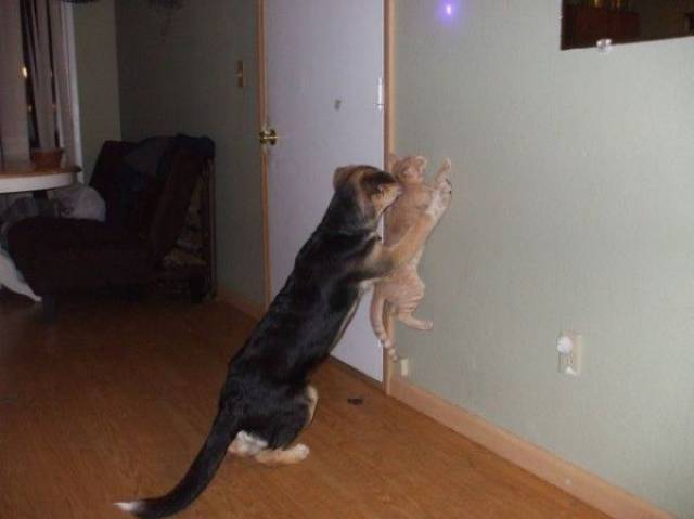 daily picdump 98 pics 4.html - 98 HD Photos | Premium Gallery 2017