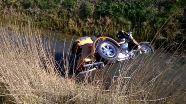 daily picdump 98 pics 4.html - 98 HD Photos | Premium Gallery 2017