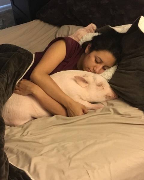 daily picdump 98 pics 4.html - 98 HD Photos | Premium Gallery 2017