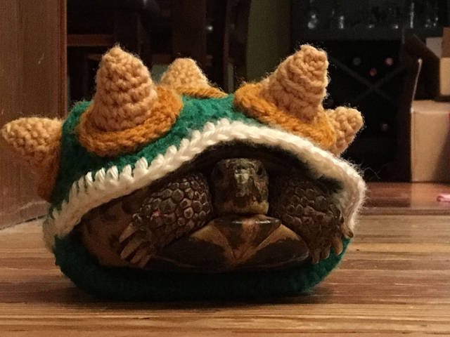 morning picdump 50 pics 6.html - 50 HD Photos | Premium Gallery 2017