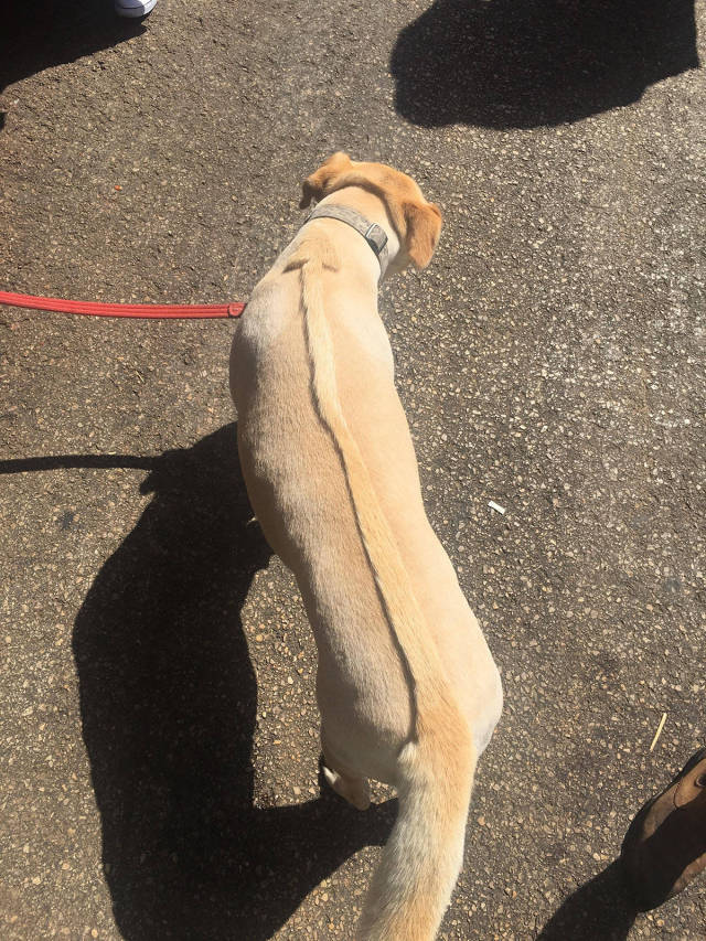 morning picdump 50 pics 6.html - 50 HD Photos | Premium Gallery 2017