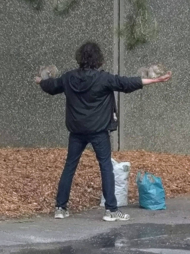 morning picdump 50 pics 6.html - 50 HD Photos | Premium Gallery 2017