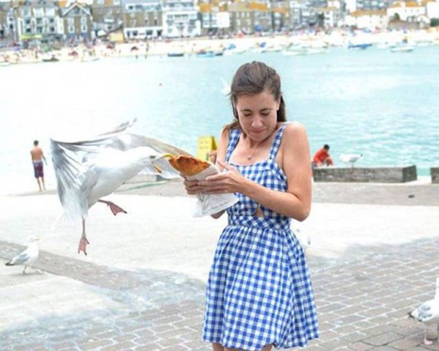 daily picdump 98 pics 6.html - 98 HD Photos | Premium Gallery 2017