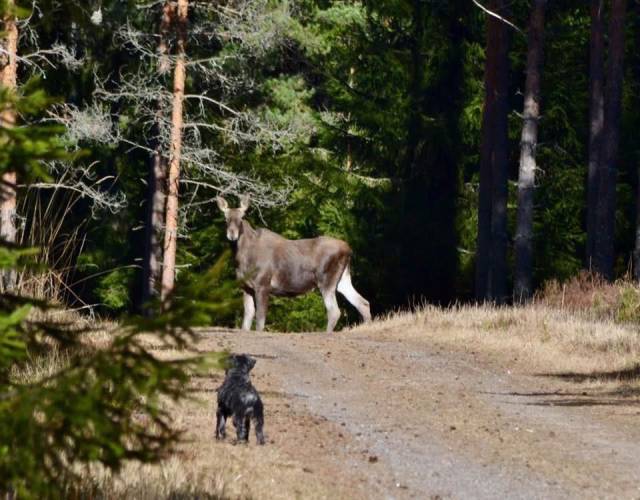 daily picdump 98 pics 6.html - 98 HD Photos | Premium Gallery 2017