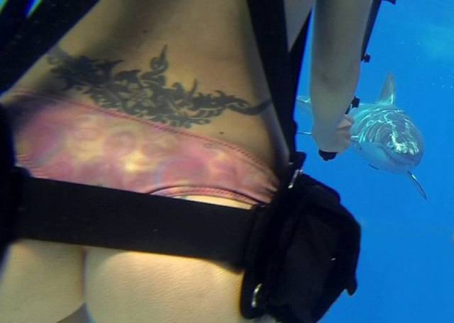 daily picdump 98 pics 6.html - 98 HD Photos | Premium Gallery 2017