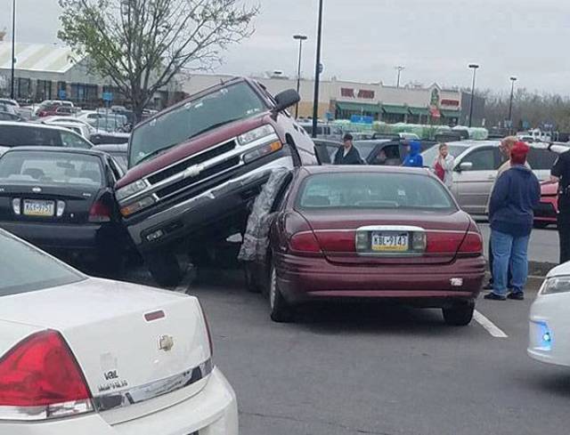 daily picdump 98 pics 6.html - 98 HD Photos | Premium Gallery 2017