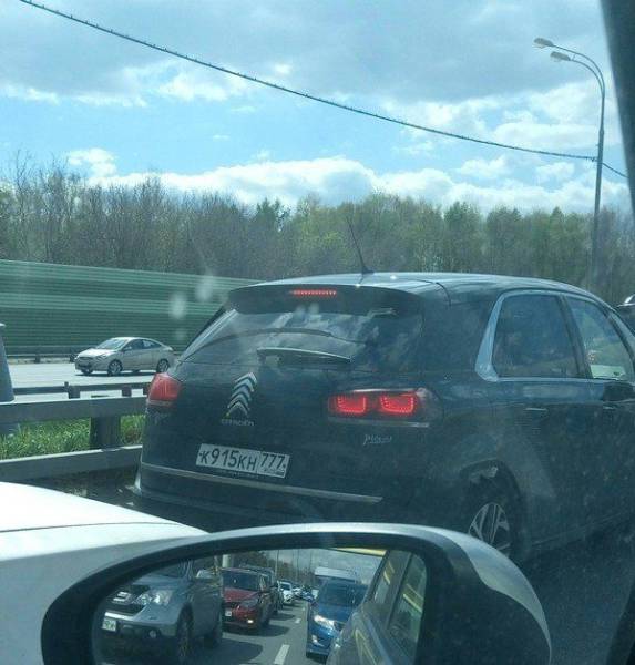 daily picdump 98 pics 6.html - 98 HD Photos | Premium Gallery 2017