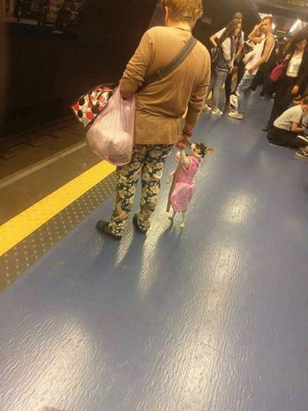 daily picdump 98 pics 6.html - 98 HD Photos | Premium Gallery 2017