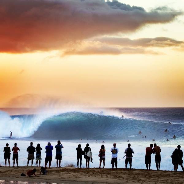 daily picdump 98 pics 6.html - 98 HD Photos | Premium Gallery 2017